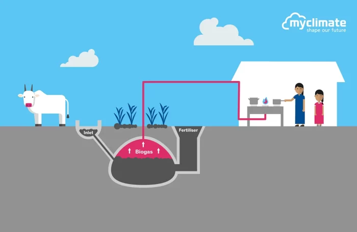biogas