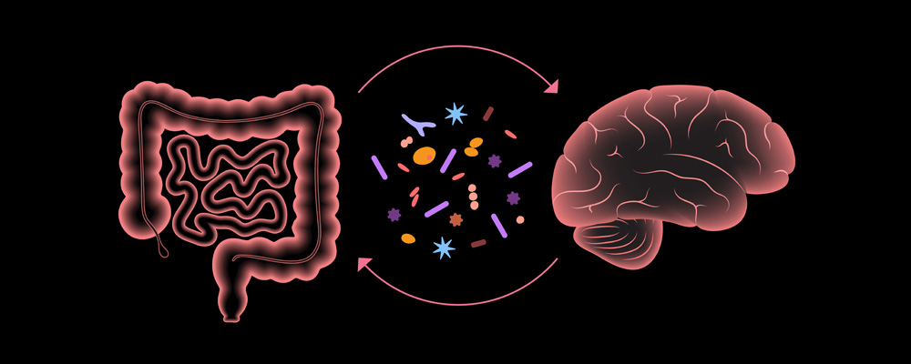 mikrobioombrein 02