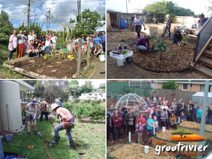 Gemeenskap aangedrewe tuinmaak verskynsel bekend as 'n permablitz