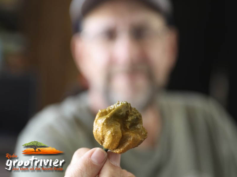 Pepper X onttroon Carolina Reaper as warmste rissie