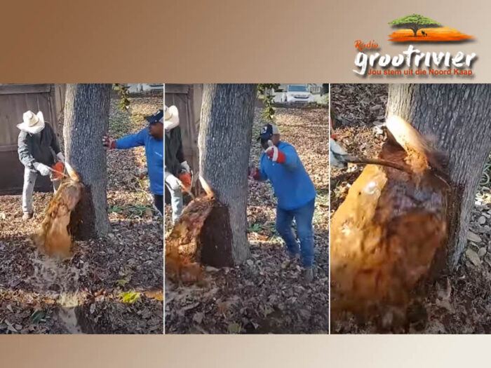 Birmingham, Alabama Waar 'n gewone boomsny 'n natuurwonder onthul het